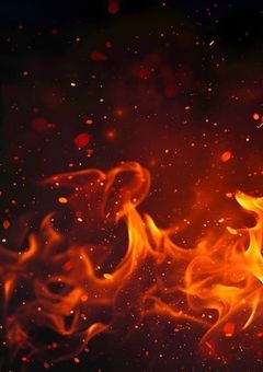 無惨のお気に入り、日の呼吸の使い手らしい