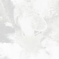 M 🐻💚🐯さんのアイコン画像