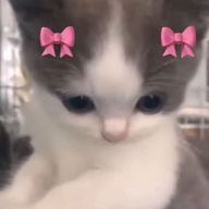🐰🍑୨୧🌻🐰さんのアイコン画像