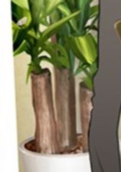 新 組 織 。〈 B S D 参 加 型 〉