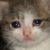 CATS（ｷｬｯﾂ）さんのアイコン画像