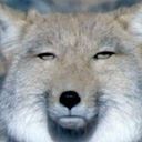 角名@砂じゃねーよ