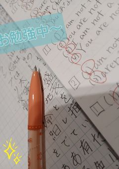 ⓈⒶⓈⒶ𝒊𝒏✎𓈒𓂂𓏸 𝚜𝚝𝚞𝚍𝚢... 𝚍𝚒𝚊𝚛𝚢