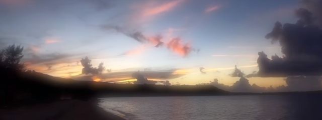 さ  くさんの壁紙画像