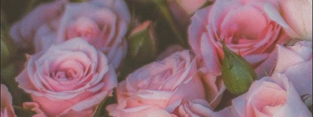 Lunaさんの壁紙画像