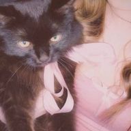 Lunaさんのアイコン画像