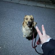 恋桃_lemonさんのアイコン画像