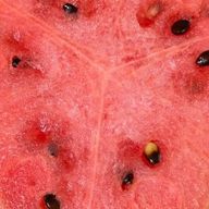 ヒロアカさんのアイコン画像