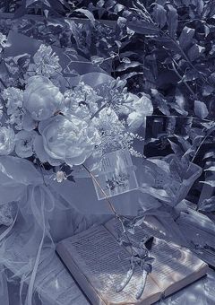 - ̗̀ 兄妹喧嘩中　  ̖́‐