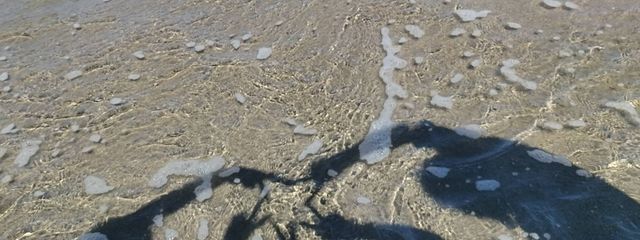 ぴーなっつさんの壁紙画像