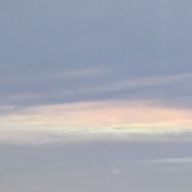 ぴーなっつさんのアイコン画像