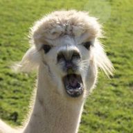 みかんさんのアイコン画像