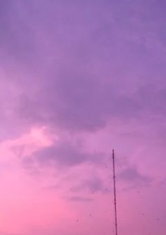 色々なものが入ってるよ