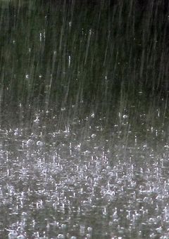 狼に喰われたあとは