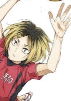 エイプ大好きマネ