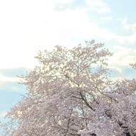LUNAさんのアイコン画像