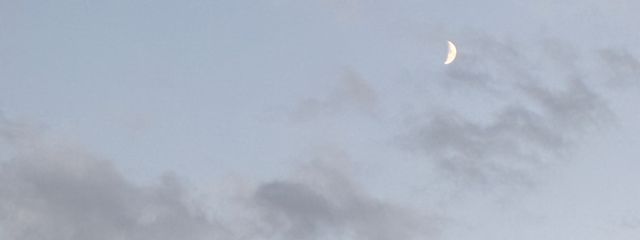 霊華さんの壁紙画像