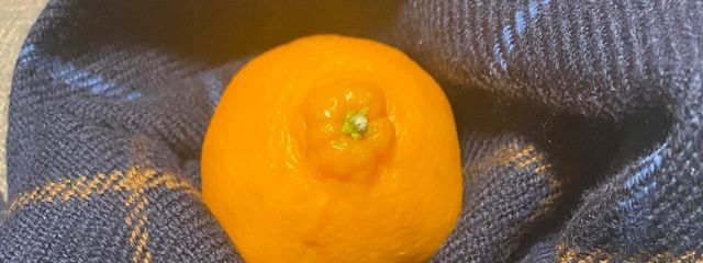 Itohaさんの壁紙画像