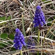 Itohaさんのアイコン画像