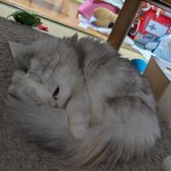 728さんのアイコン画像