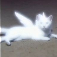 Apple pie 🍎 さんのアイコン画像