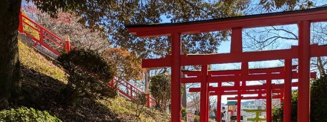 らむ💎　@フォロバ100％さんの壁紙画像