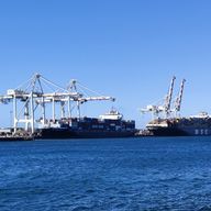 まきまつさんのアイコン画像