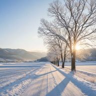 雪凪さんのアイコン画像