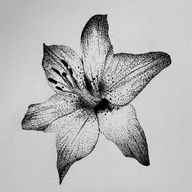 mililllzkiiilllさんのアイコン画像