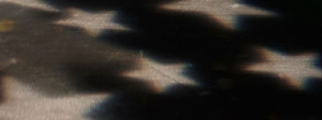 咲さんの壁紙画像