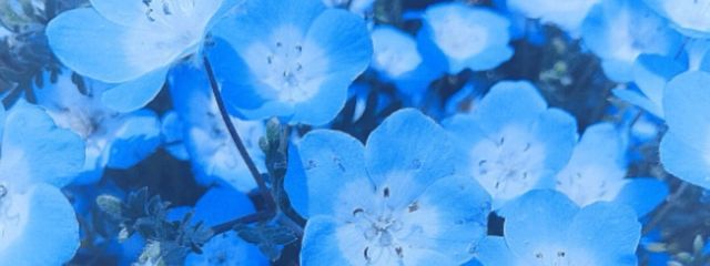 Rさんの壁紙画像