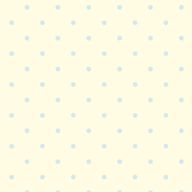 わたさんのアイコン画像