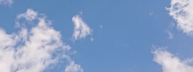 白米love さんの壁紙画像