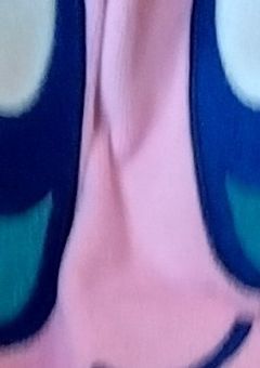 スプランキーのカオスな毎日(活動終了)