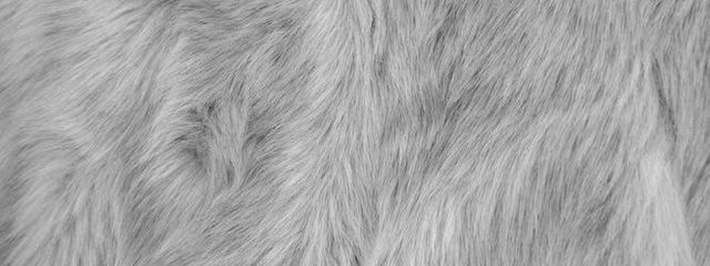 ²𝘸𝘰𝘰さんの壁紙画像