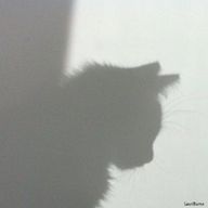 ²𝘸𝘰𝘰さんのアイコン画像