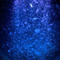 ユーマさんのアイコン画像