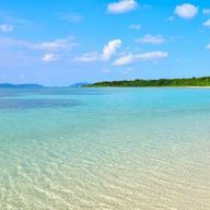 柚月さんのアイコン画像