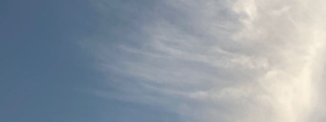 ｾﾉﾝさんの壁紙画像