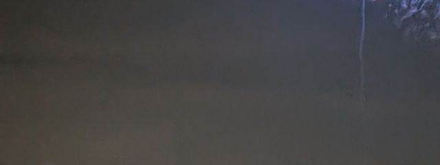 にゃは〜〜(~￣▽￣)~さんの壁紙画像