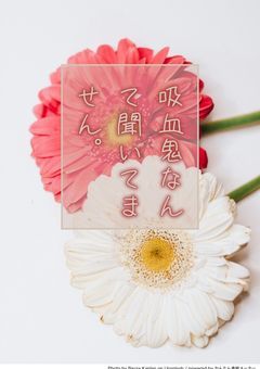 吸血鬼なんて聞いてません。