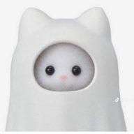 Ruriさんのアイコン画像