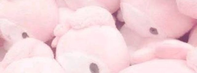 𝚈𝚞𝚗𝚘さんの壁紙画像