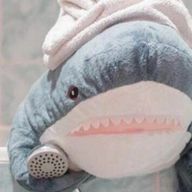 さめ肌。/🦈✨🫧‪さんのアイコン画像