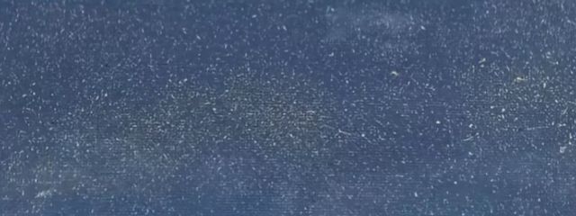( ᐛ )さんの壁紙画像