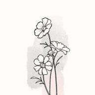 Anrilさんのアイコン画像
