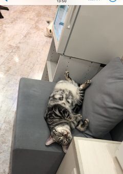 もっぴー専用部屋