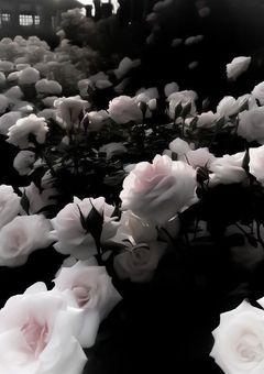 復活CP短編集【リクエスト募集】