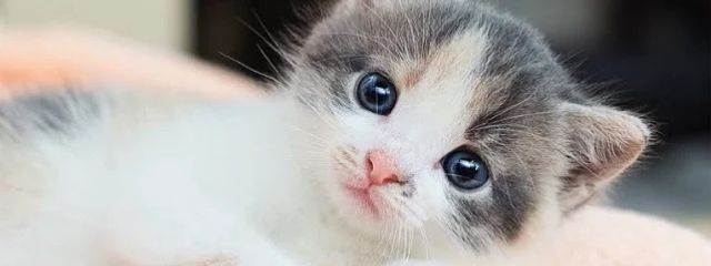 るい(どっかの誰か)※更新遅いけど生きてますさんの壁紙画像