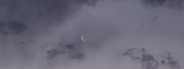 天使さんの壁紙画像
